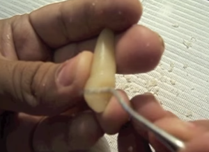 Modelos de cera para trabajos profesionales Mattheus Gottfried Purman