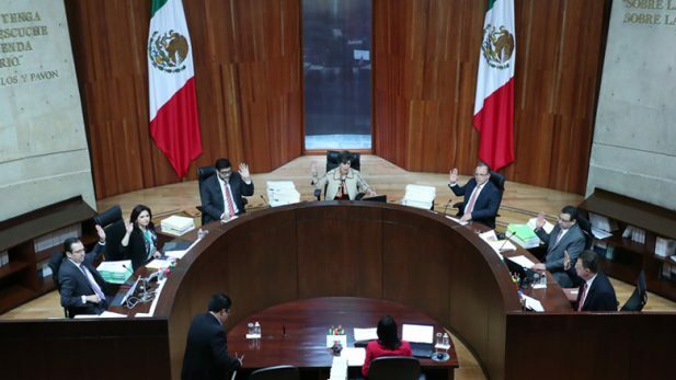 Tribunal Federal Electoral