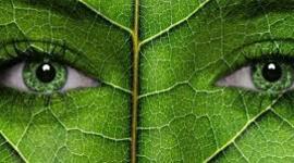 Timeline: Evolución de la Ecología