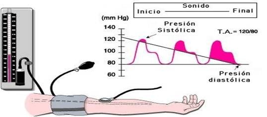 Diversos campos de la Psicología Jurídica