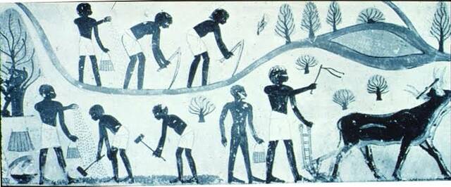 NILE RIVER VALLEY FIRST INHIBITTED