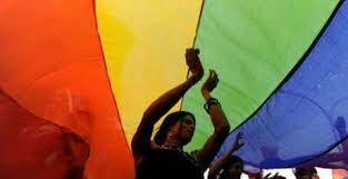 Feministas homosexuales