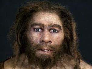 Homo neanderthalensis