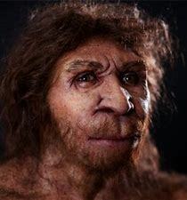 Homo heidelbergensis