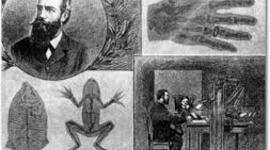 Timeline: Línea de Tiempo historia de la Protección Radiológica