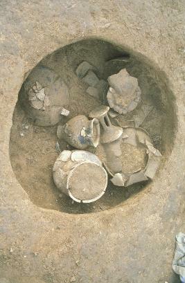 Els primers pobladors