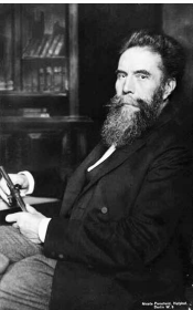 Descubrimiento de los Ryos x