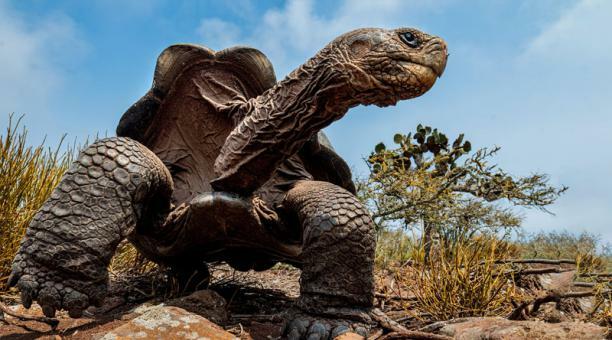 Les illes Galàpagos
