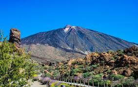 trip to tenerife