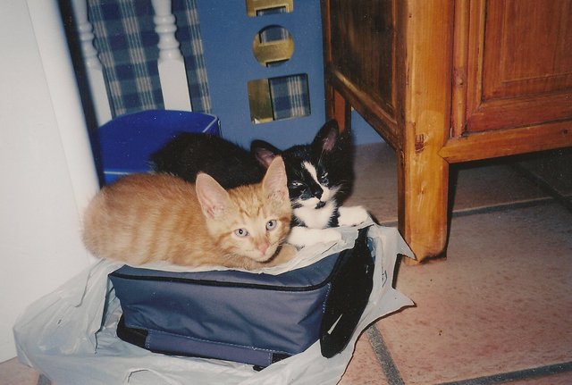 My Family Gets Two New Members