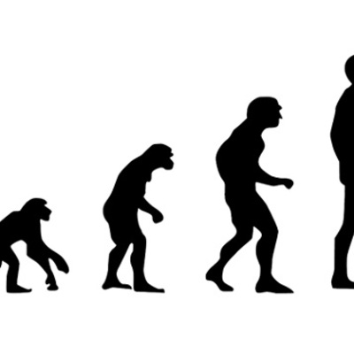 Timeline: La evolución humana