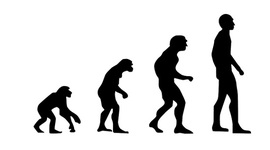 Timeline: La evolución humana