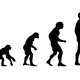Evolucion especies