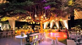 Timeline: Eventos atraves del tiempo