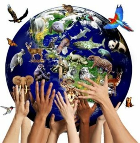 Convención sobre la Protección de la Naturaleza