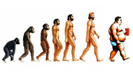 Timeline: L'evolució humana