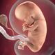 Pregnancy week 10 fingernails 4x3.jpg.pagespeed.ce.zml ow3jsw