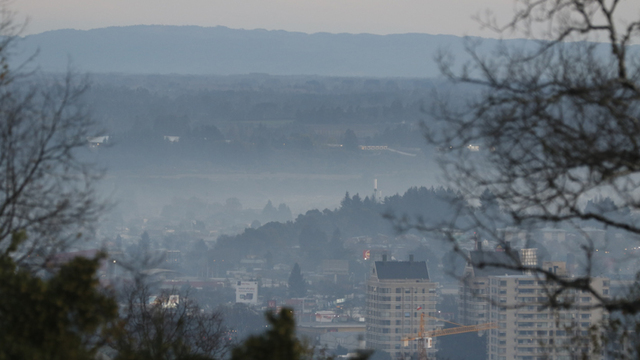 Convención de Viena