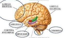 Timeline: PERSPECTIVA HISTÓRICA DE LAS DIFICULTADES DEL APRENDIZAJE.