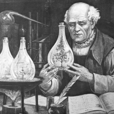 Timeline: Historia Fitopatología