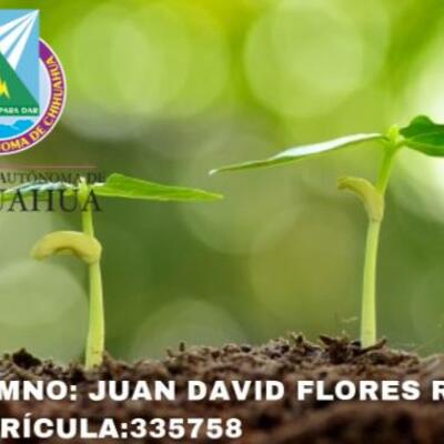 Timeline: HISTORIA DE LA NUTRICIÓN VEGETAL