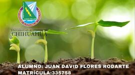 Timeline: HISTORIA DE LA NUTRICIÓN VEGETAL