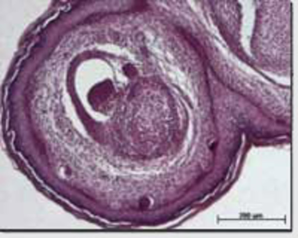 Better Facilitys for work