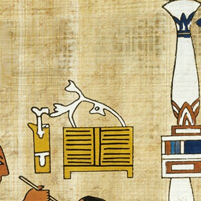 Timeline: "Historia de los conceptos de causa y enfermedad: paralelismo entre la Medicina y la Fitopatología”