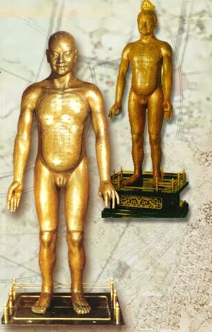 Los primeros modelos humanos de guia para la acupuntura