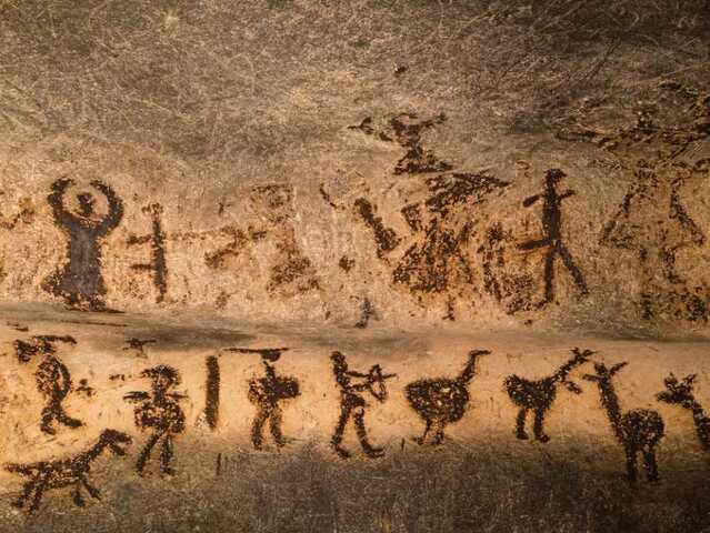 debut de la domestication des animaux