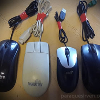 Timeline: Evolución de los ratones (mouse)