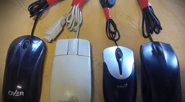 Timeline: Evolución de los ratones (mouse)