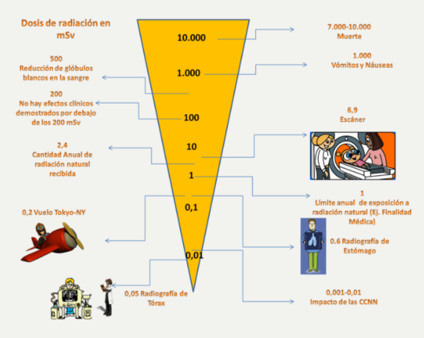 Efectos biológicos de la radiación