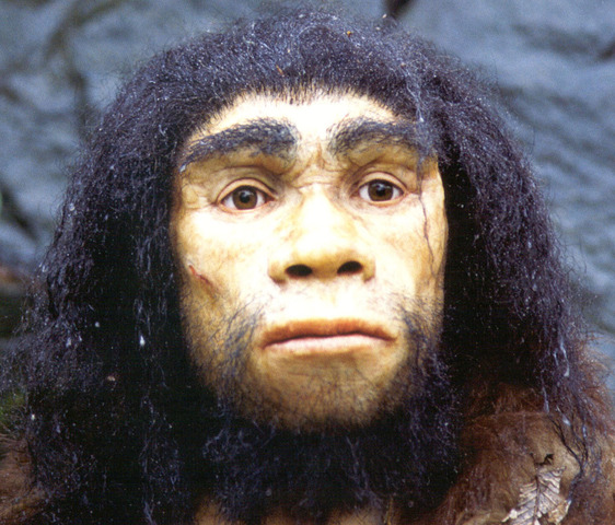 Homo Sapiens Neanderthalensis (wise man)