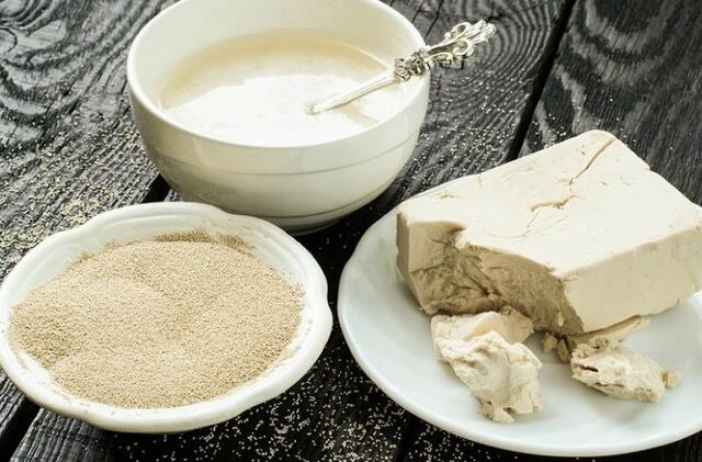 Levadura un Organismo Vivo