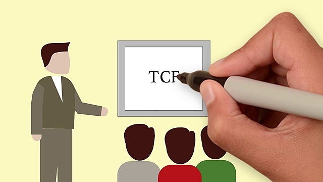 Tribunal de lo Contencioso Electoral