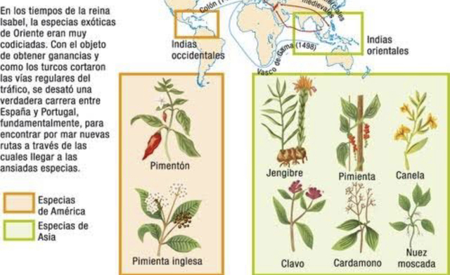 1492 nuevas frutas comerciales