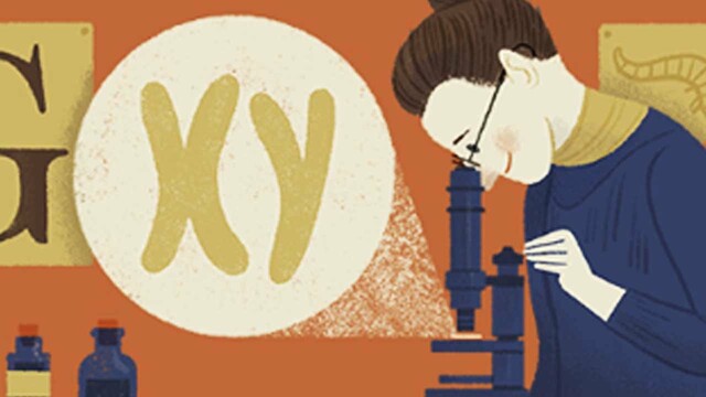 Nattie Maria Stevens (1861-1912)