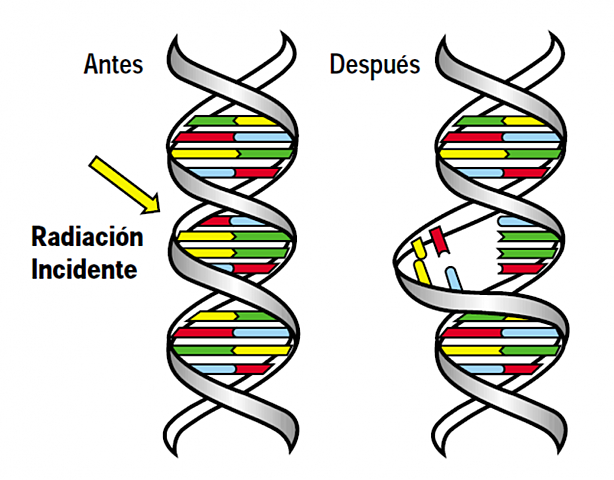 Magnitudes, unidades y limitación de dosis de radiación