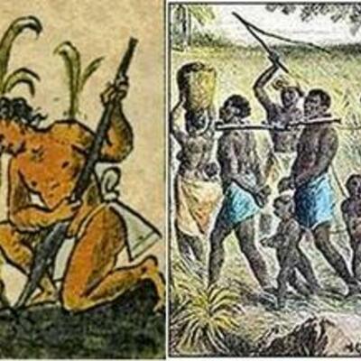 Timeline: Historia de la ecología.