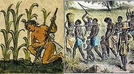 Timeline: Historia de la ecología.