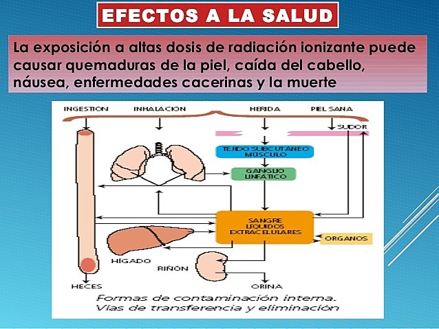 1990 Aplicaciones desde 1895 hasta nuestros días de la radiación ionizante.