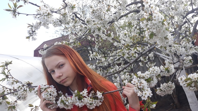 Навстречу сложностям