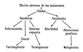 Aplicaciones desde 1895 hasta nuestros días de la radiación ionizante