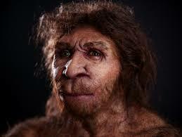 Homo Heildelbergensis