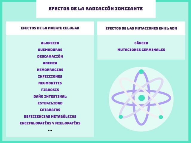 Efectos sobre los genes.