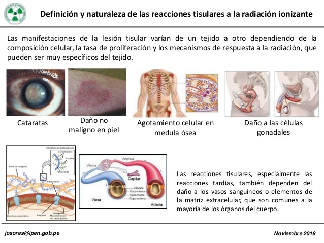 Efectos sobre los tejidos.