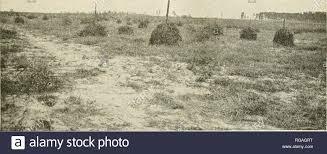 Producción en serie