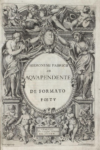 Hieronymus Fabricius de Acquapendente ( 1533-1619)