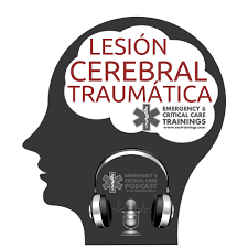 WERNER Y STRAUSS 1940. FASE DE TRANSICIÓN.